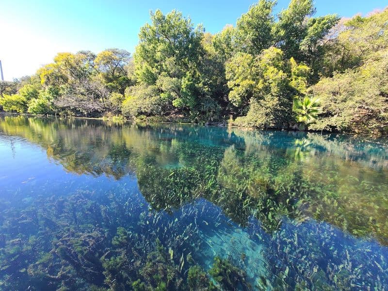 Conservation And The Edwards Aquifer