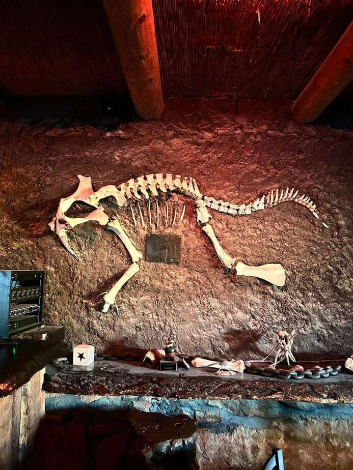 Dinosaur Decor and Desert Lore