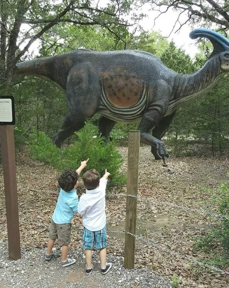 Visitor Tips and Hours