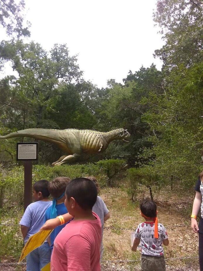 Birthday Parties and Group Outings