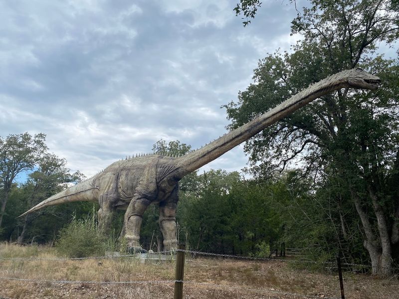 Life Size Dinosaur Trail