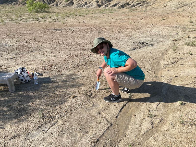 This Texas Fossil Park Lets You Dig Up Ancient Bones and Take Them Home What To Bring: Tools, Comfort, and Sun Protection