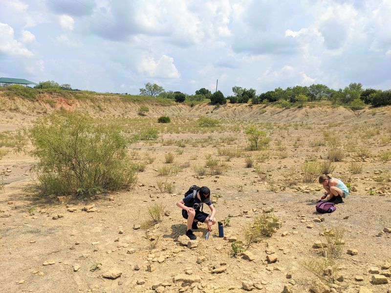 This Texas Fossil Park Lets You Dig Up Ancient Bones and Take Them Home Hunting Strategy: Reading Shale and Slopes