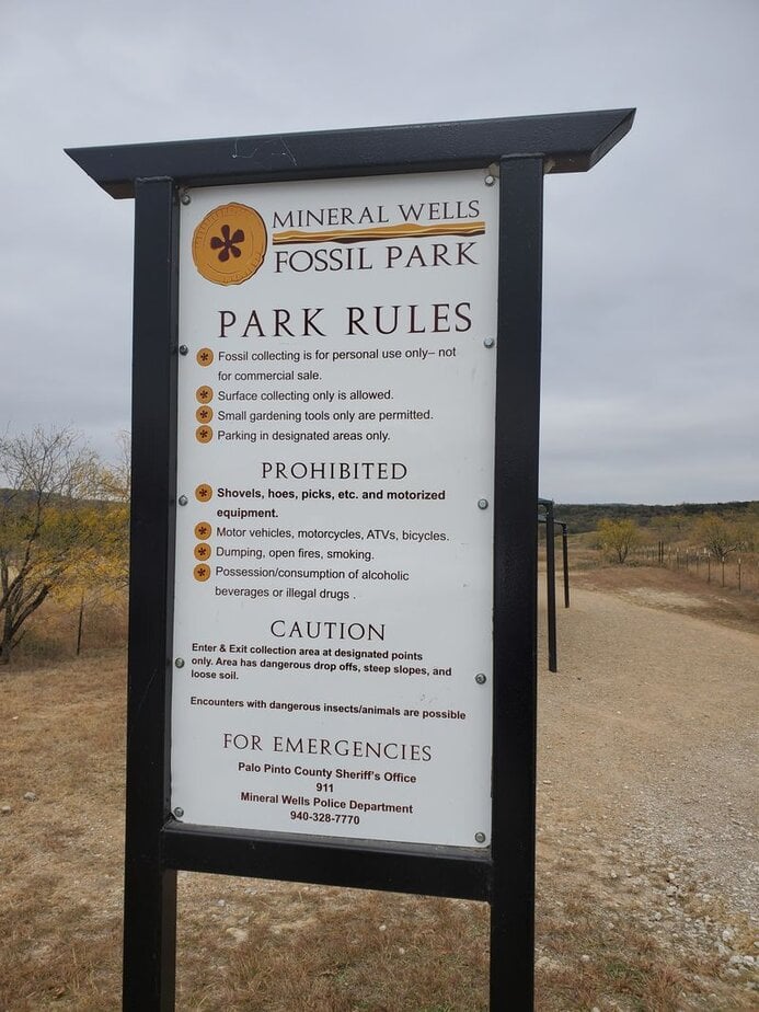 This Texas Fossil Park Lets You Dig Up Ancient Bones and Take Them Home Accessibility, Safety, and Park Etiquette