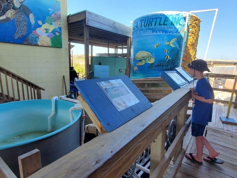 Hands On Education That Sticks