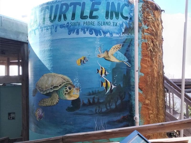 Planning Your Visit To 6617 Padre Blvd