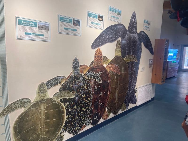 Release Days: Hope On The Shoreline