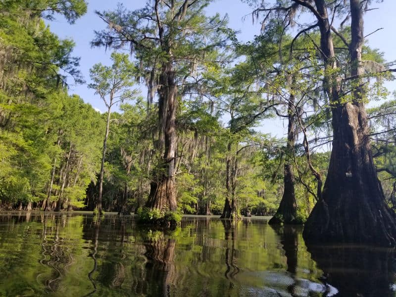 Turning Basin Riverboat Tours