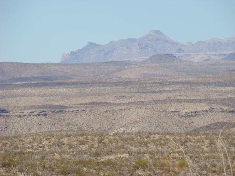 Night Skies Over the Desert