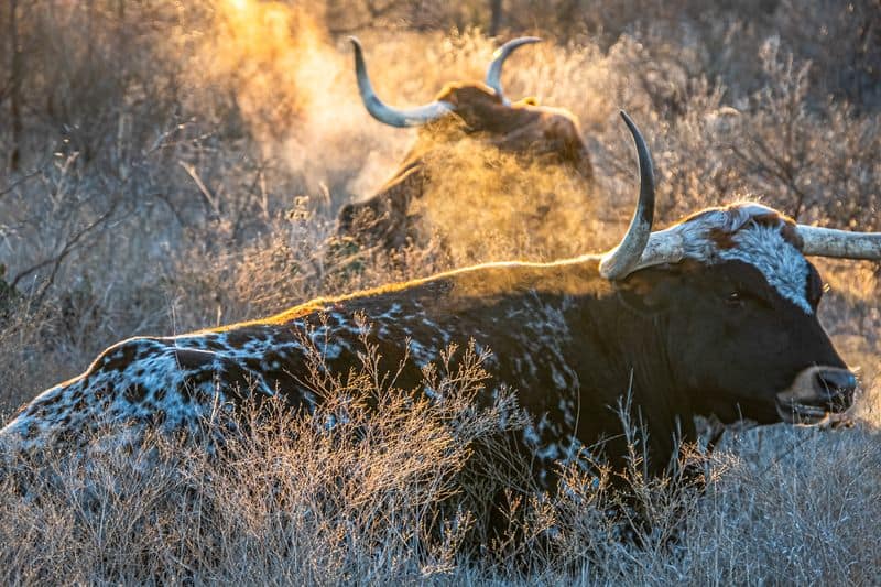 Fort Griffin State Historic Site Overlook