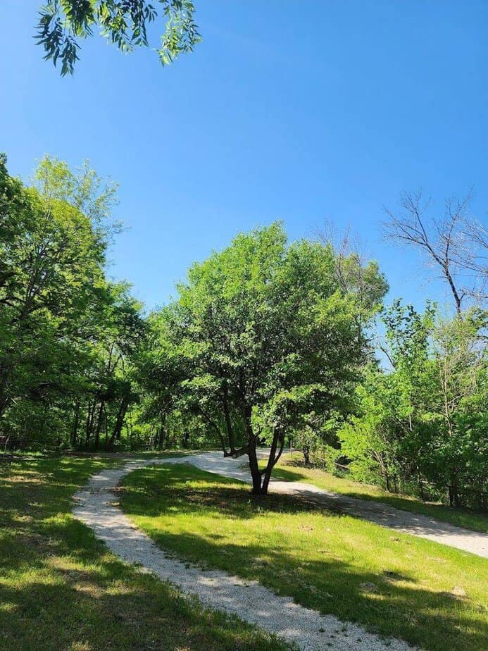 Trail Time: Easy Miles And Shaded Turns