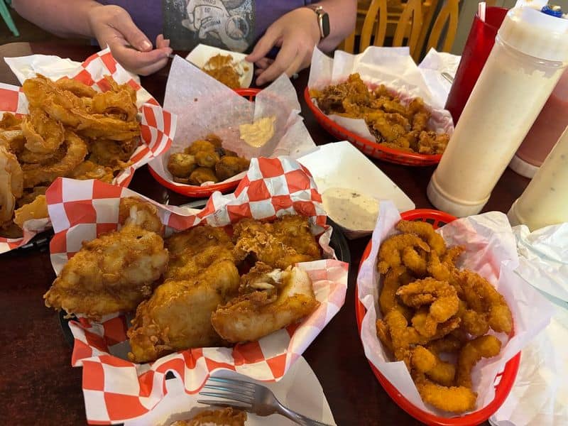 Signature Alligator Bites