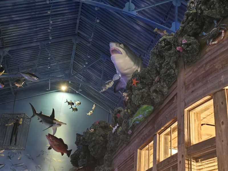 When To Go and How To Avoid Long Waits