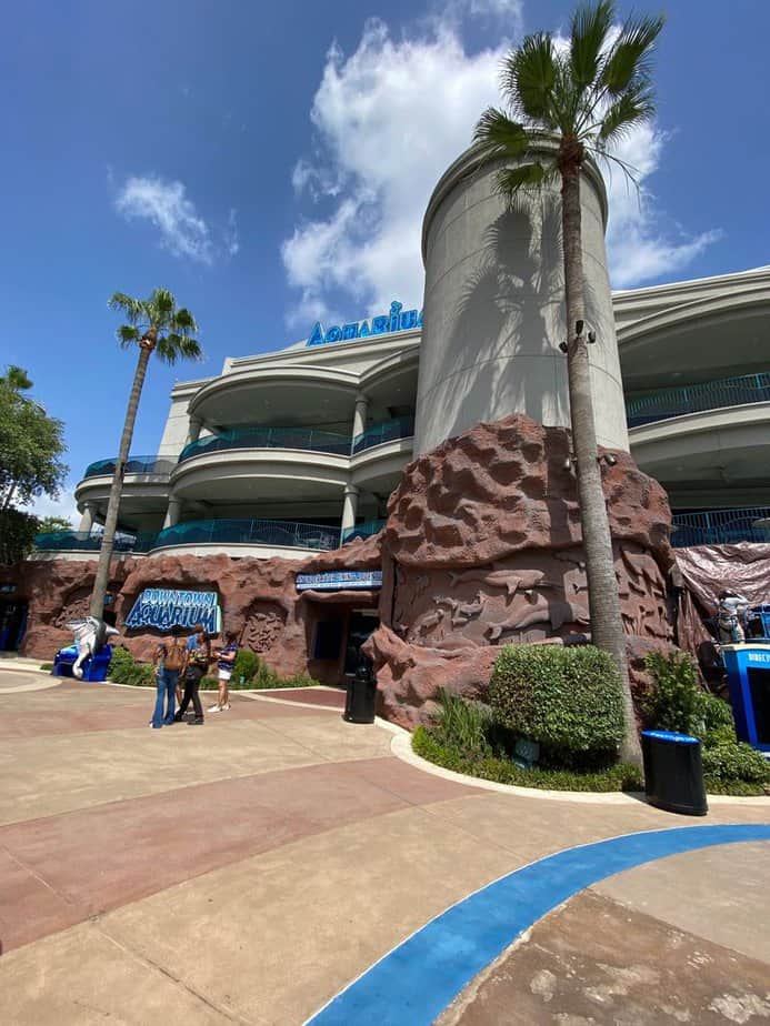 This Wild Houston Aquarium Ride Lets You Cruise Right Through Shark-Infested Waters Tickets, Wristbands, And Timing Strategy