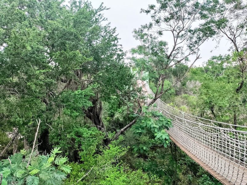 This Wildlife Refuge in Texas Feels Straight Out of a Nature Documentary The Famous Suspension Bridge Experience