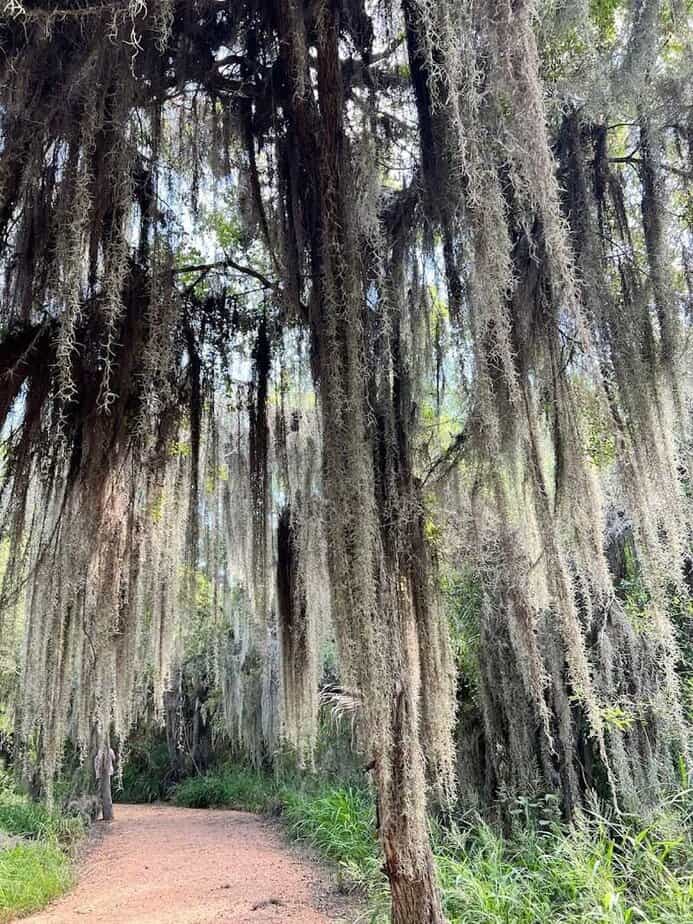 This Wildlife Refuge in Texas Feels Straight Out of a Nature Documentary Butterfly Alley and Pollinator Magic