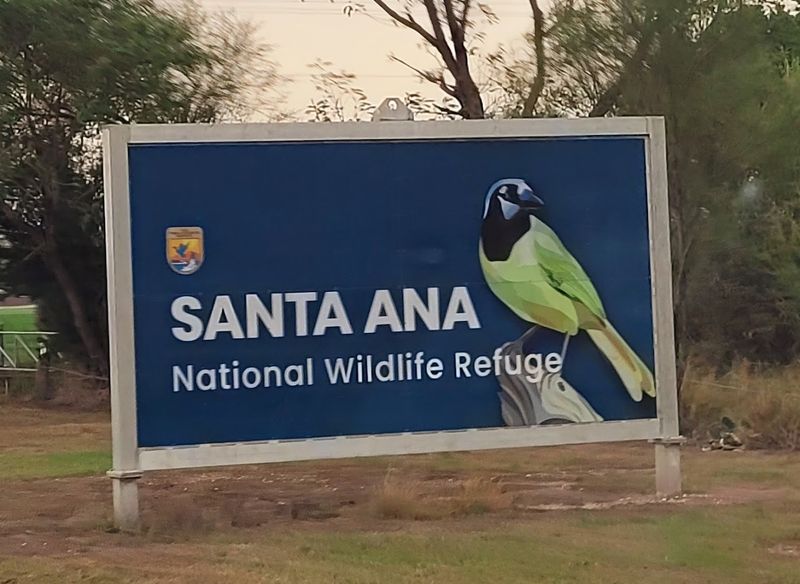This Wildlife Refuge in Texas Feels Straight Out of a Nature Documentary Tram Tour Insights and Easy Access
