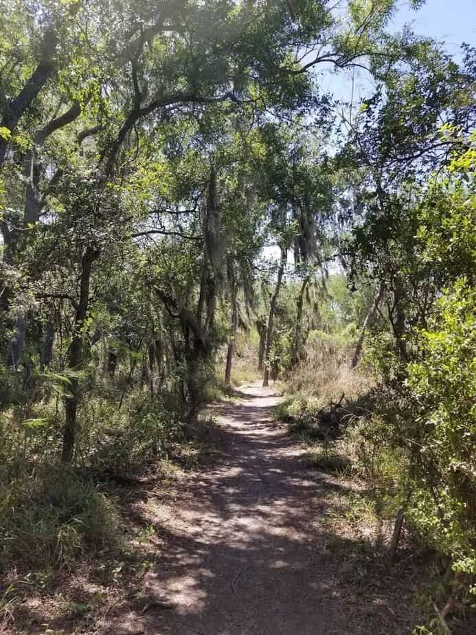 This Wildlife Refuge in Texas Feels Straight Out of a Nature Documentary Trail Tips: Heat, Bugs, and Best Hours