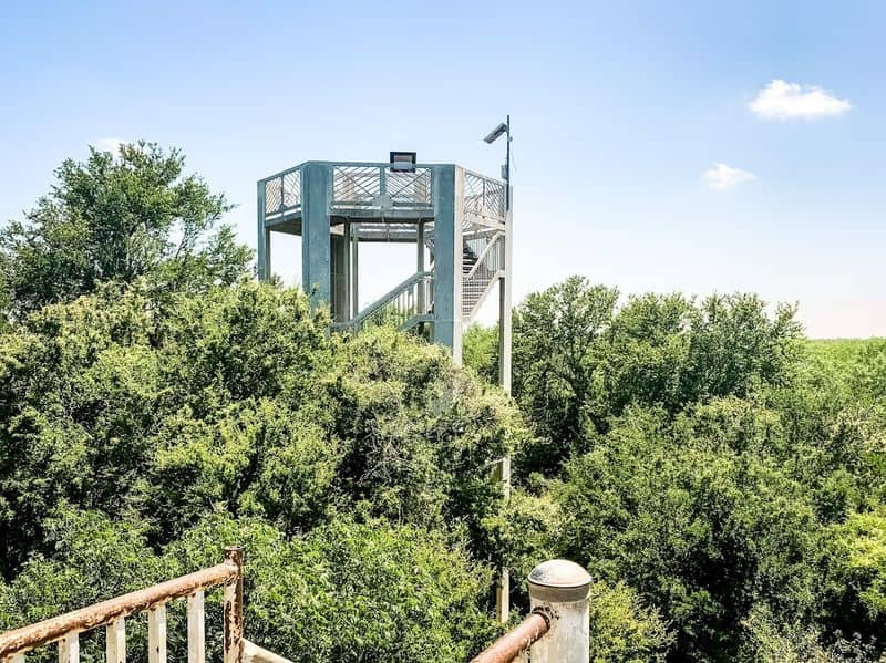 This Wildlife Refuge in Texas Feels Straight Out of a Nature Documentary Canopy Tower Views Over the Rio Grande