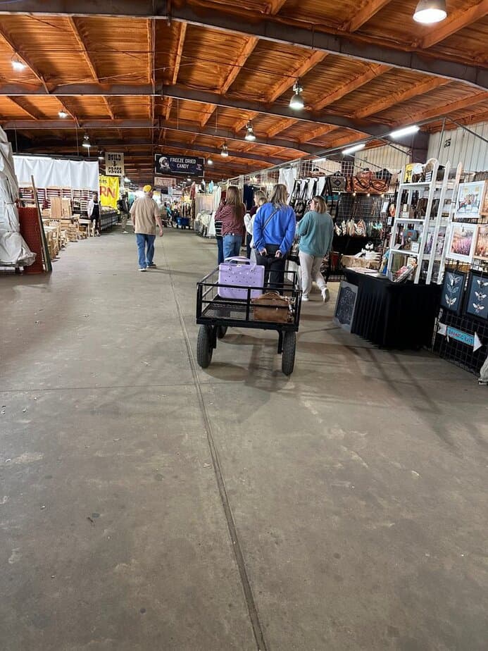 Practical Essentials: Parking, Cash, Carts, and Scooters