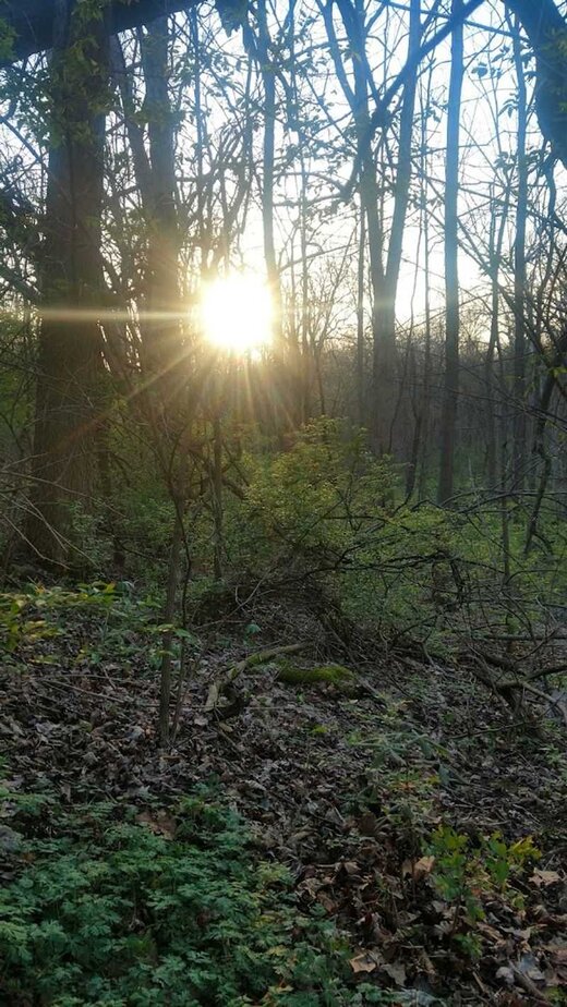 Charleston Falls Preserve Day Trip Base