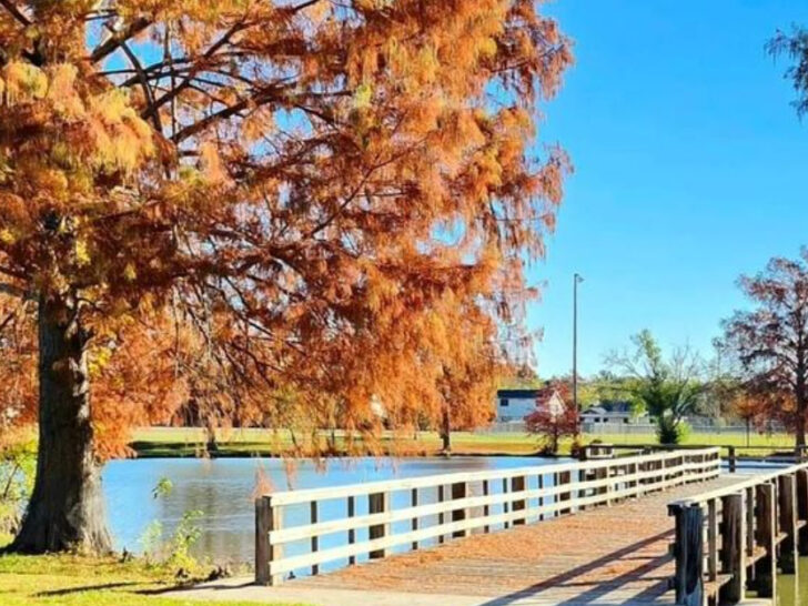 A Charming Texas Town Near Austin You’ll Want to Explore for BBQ, Antiques & Walkable Downtown