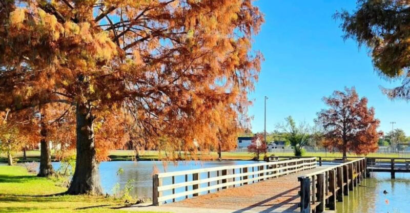 A Charming Texas Town Near Austin You’ll Want to Explore for BBQ, Antiques & Walkable Downtown