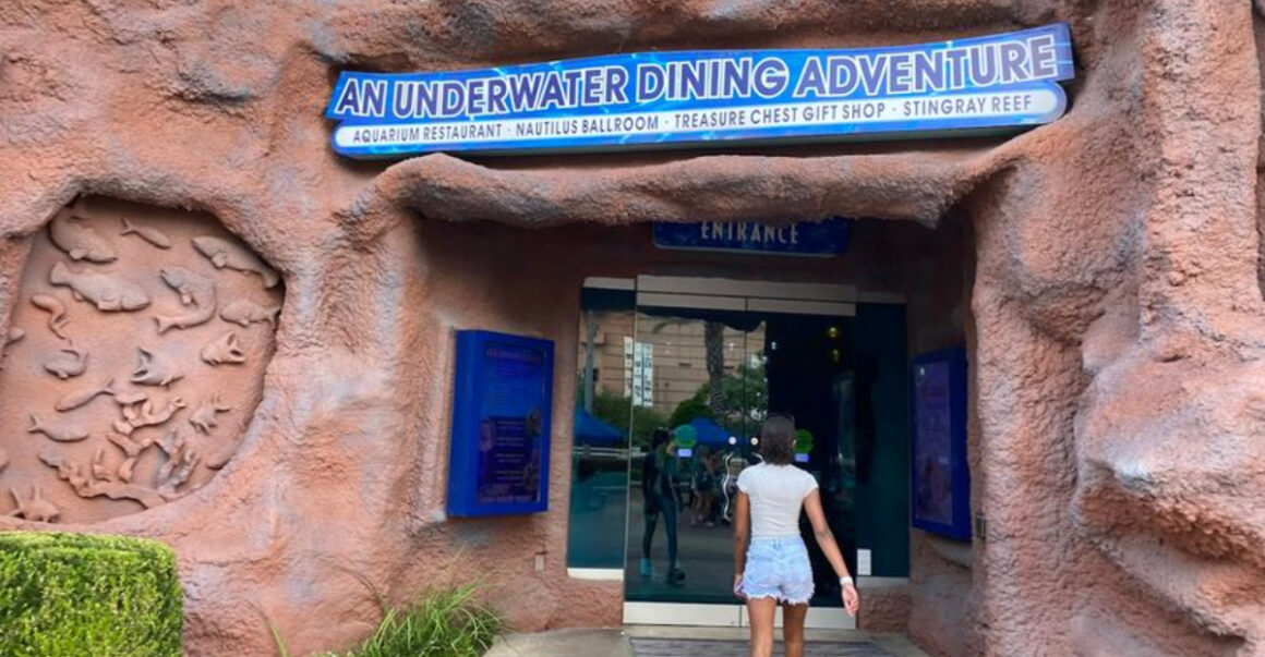 dine with sharks at this incredible underwater restaurant in houston