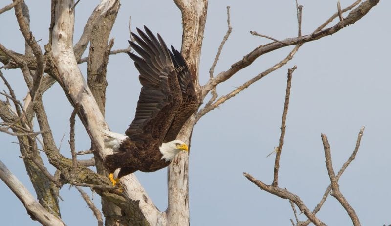 Ottawa National Wildlife Refuge