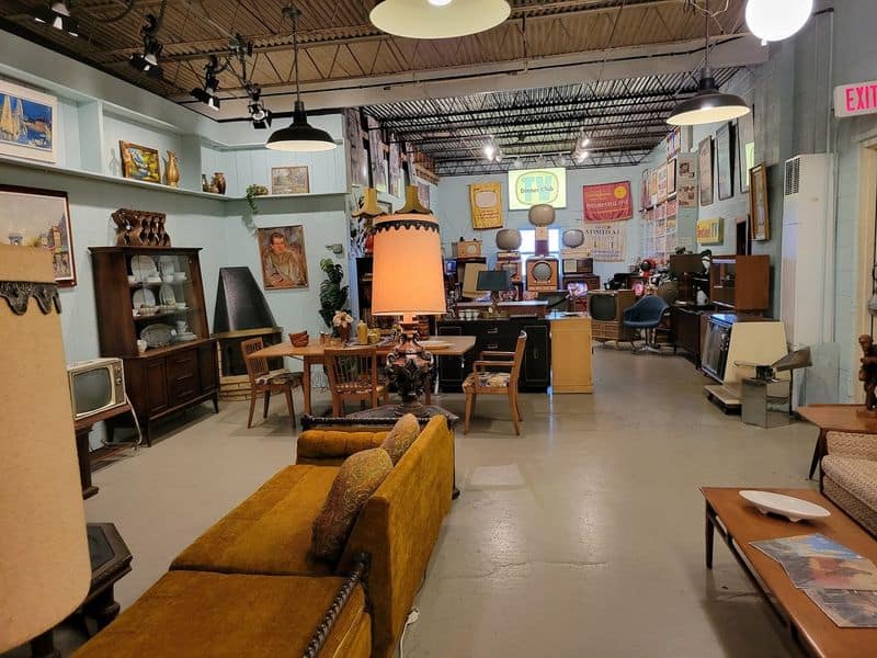 Mid Century Living Room Showcase