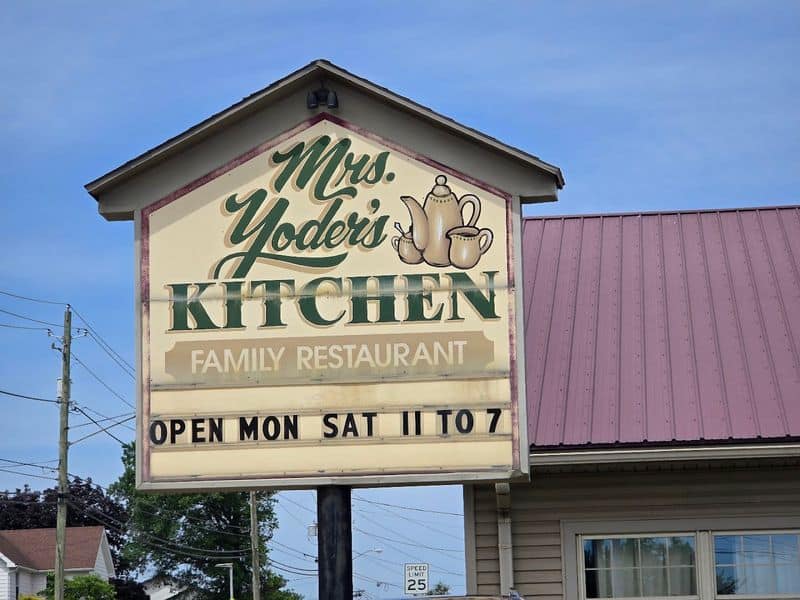 Daily Buffet Rhythm and Hours