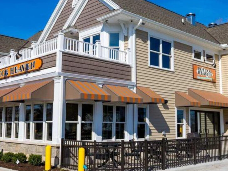 People Travel Miles for These 8 Legendary Hot Dog Joints in Ohio