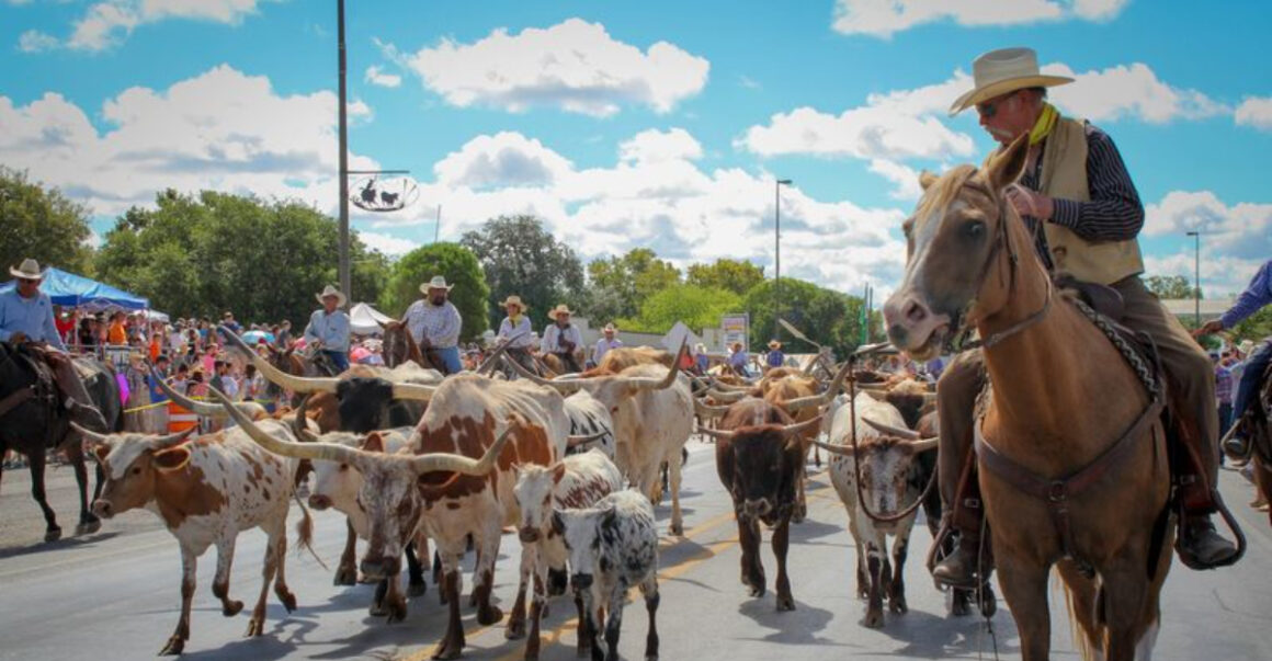 texas hill countrys top historic sites swimming holes and bbq spots
