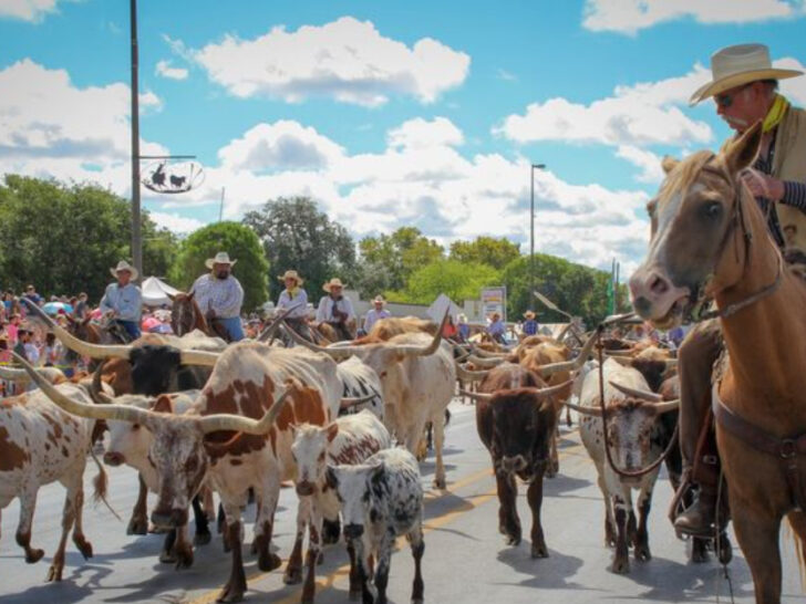 Texas Hill Country&rsquo;s Top Historic Sites, Swimming Holes, and BBQ Spots