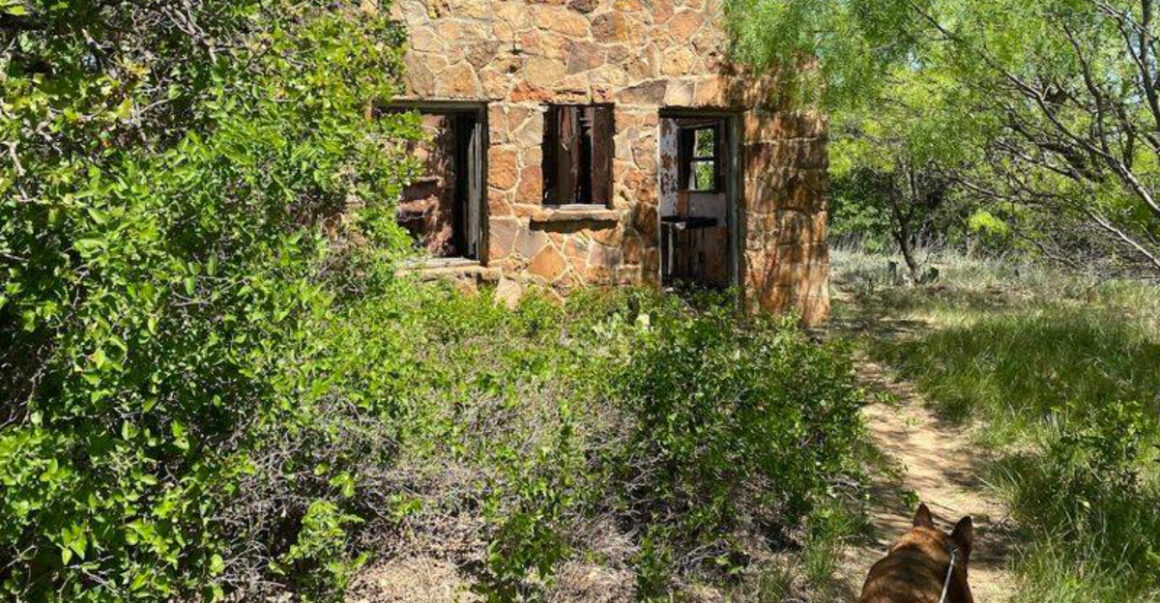 this eerie abandoned zoo hike in texas feels frozen in time