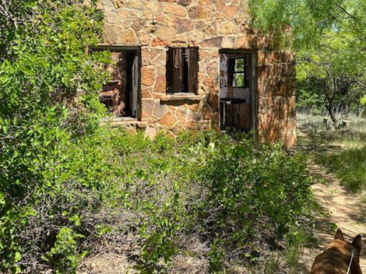 Eerie Abandoned Zoo Hike in Texas Feels Frozen in Time