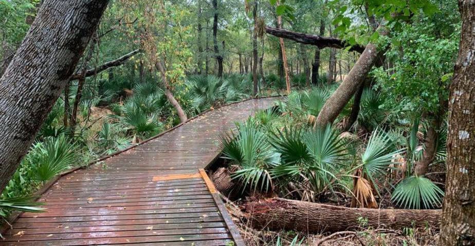 this hidden gem texas state park will wash your worries away
