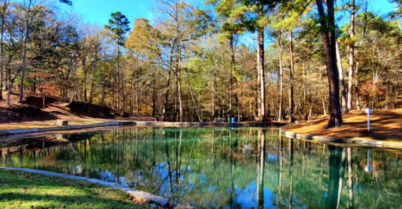 This Secret Texas Spring Has Crystal-Clear Water You Have to See