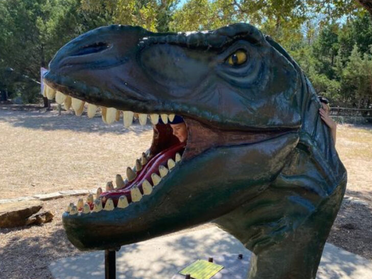 This Texas Dinosaur Park Might Be the Most Fun Family Stop in the State