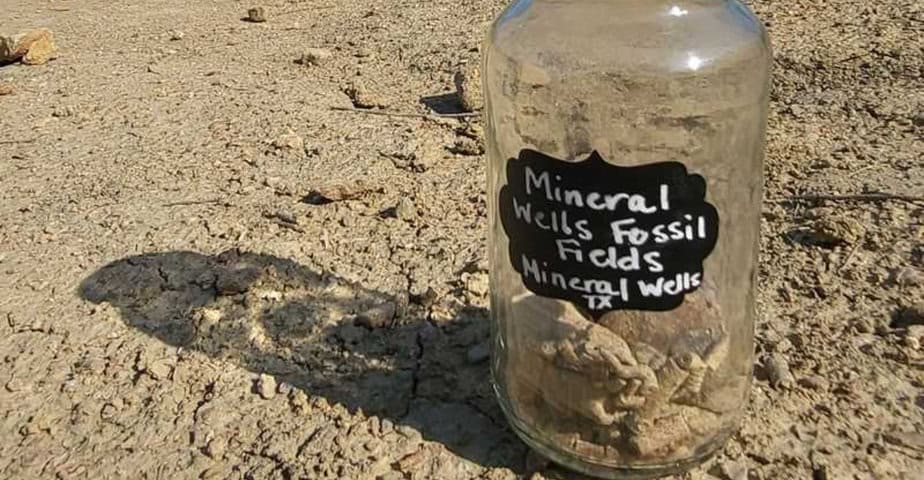 this texas fossil park lets you dig up ancient bones and take them home