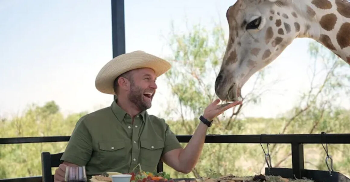 this texas wildlife sanctuary airbnb lets you glamp with giraffes