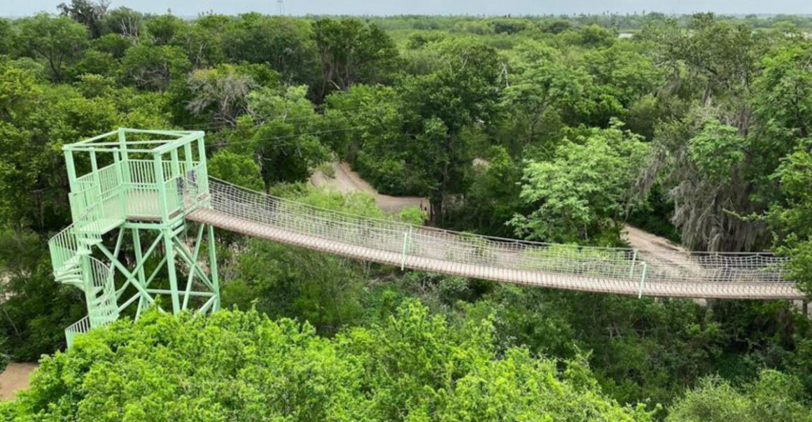 this wildlife refuge in texas feels straight out of a nature documentary