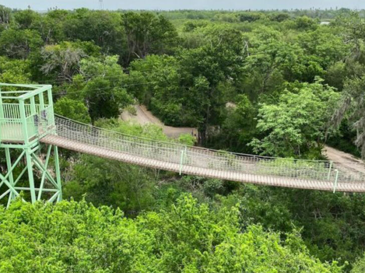 This Wildlife Refuge in Texas Feels Straight Out of a Nature Documentary