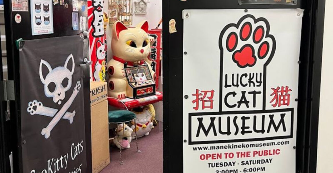 this wonderfully bizarre cat museum in ohio is unlike anything youve seen