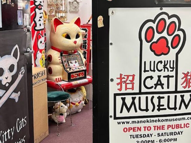 This Wonderfully Bizarre Cat Museum In Ohio Is Unlike Anything You&rsquo;ve Seen