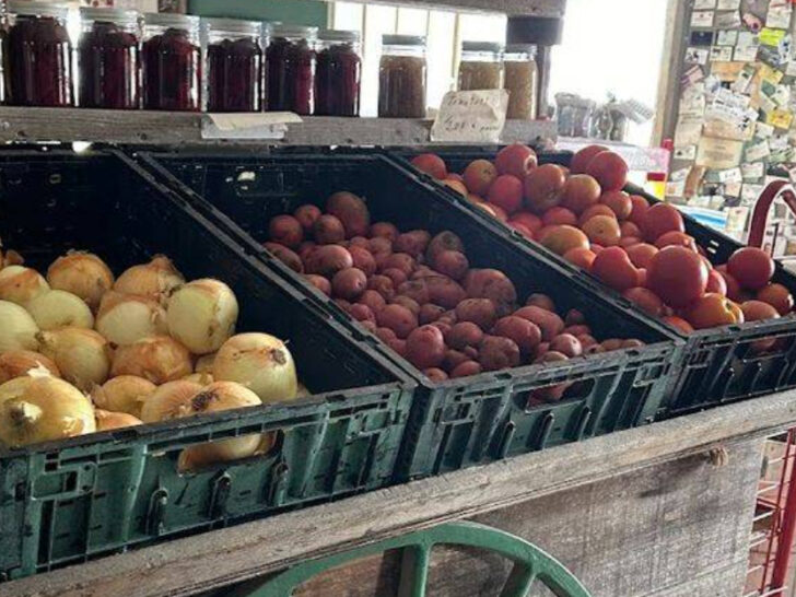We Found a Texas Amish Shop Full of Homemade Goods, Tools, and Traditional Treasures