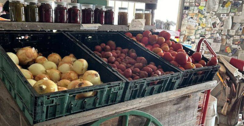 We Found a Texas Amish Shop Full of Homemade Goods, Tools, and Traditional Treasures