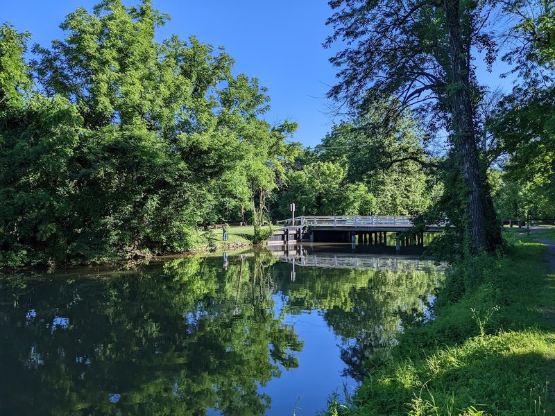 10 Best Dog-Friendly Hikes In New Jersey For Scenic Walks With Your Pup Delaware & Raritan Canal State Park Towpath