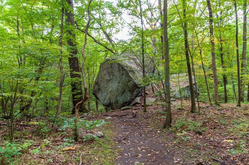 10 Best Dog-Friendly Hikes In New Jersey For Scenic Walks With Your Pup Pyramid Mountain Natural Historic Area, Morris County