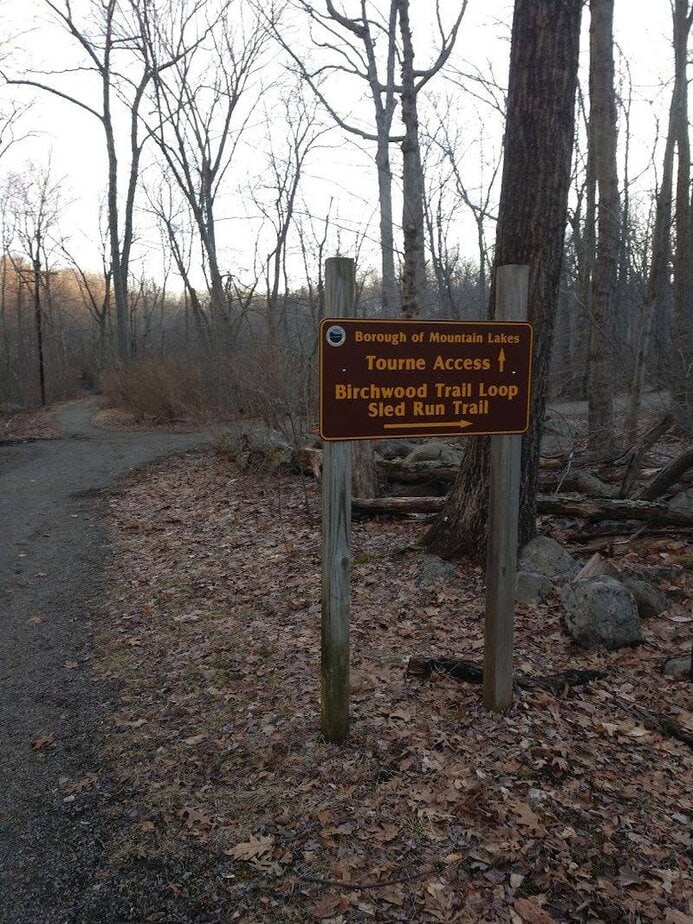 10 Best Dog-Friendly Hikes In New Jersey For Scenic Walks With Your Pup Tourne County Park, Morris County